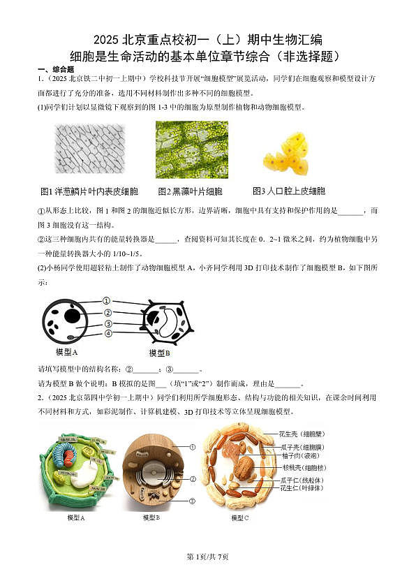 18107096第1页