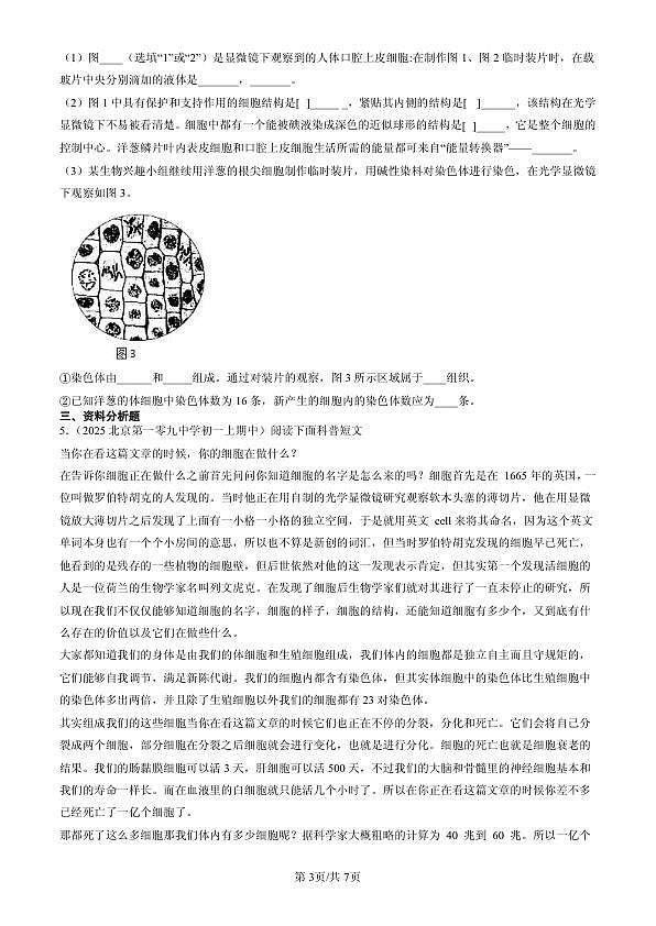 18107096第3页