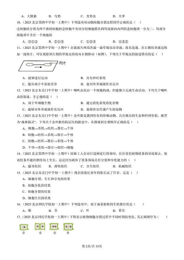 18107100第2页