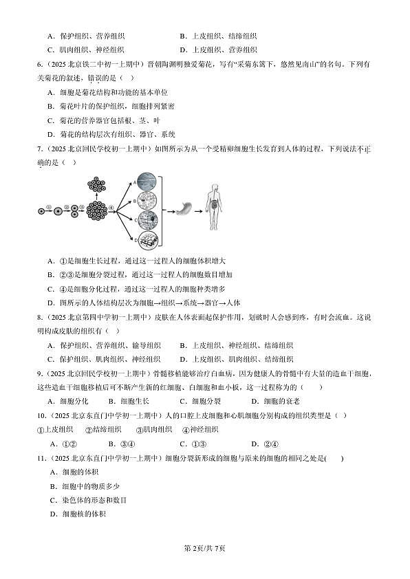 18107101第2页
