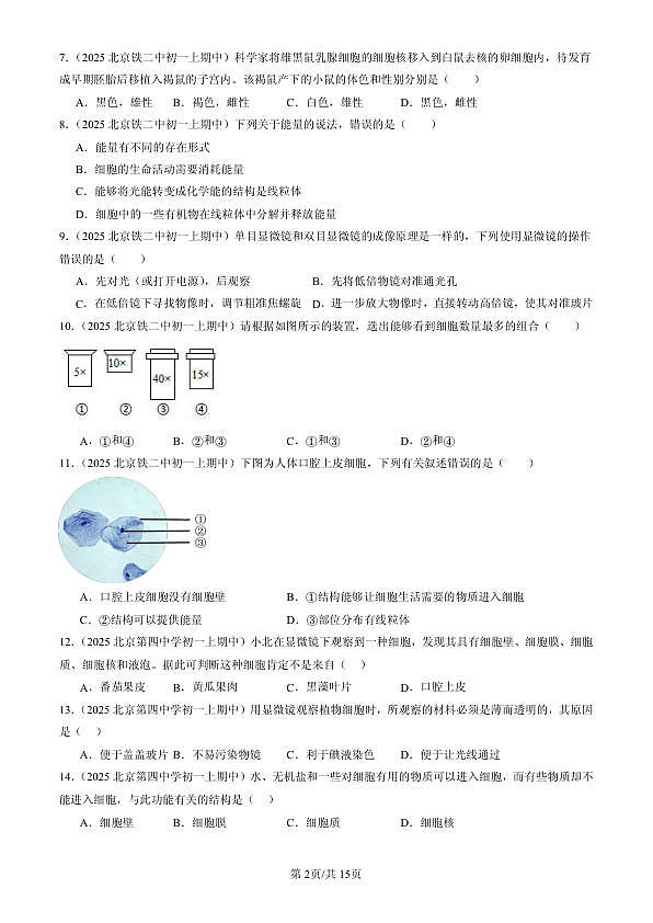 18107118第2页