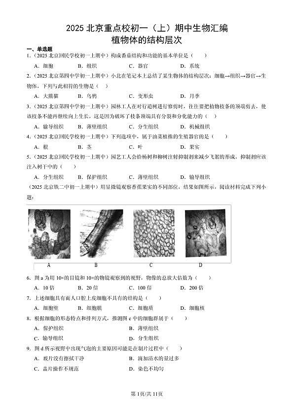 18107119第1页
