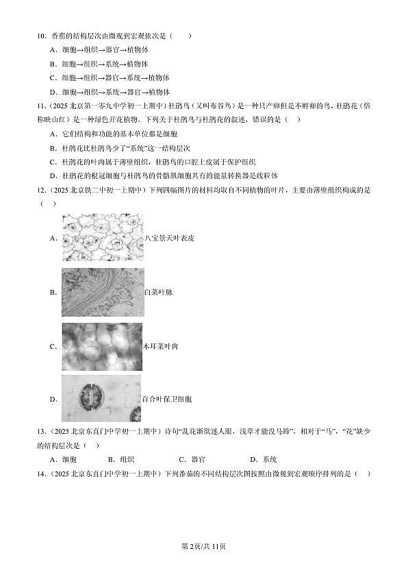 18107119第2页