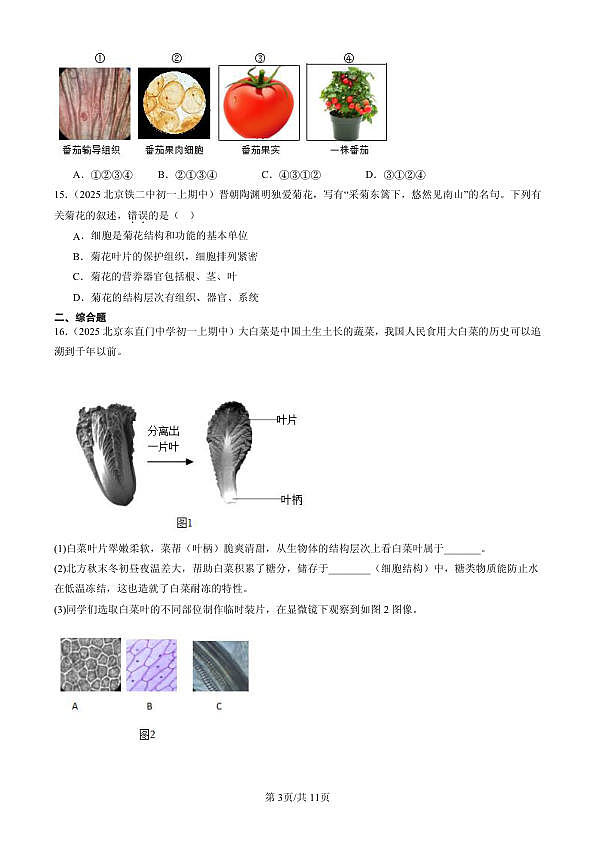 18107119第3页