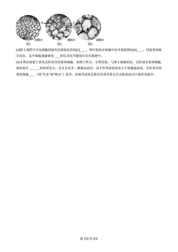 18107120第3页