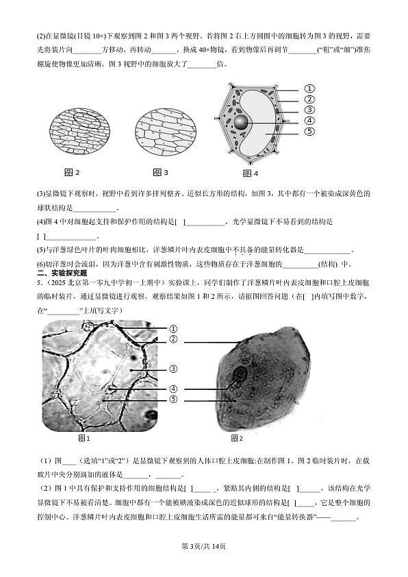 18107122第3页