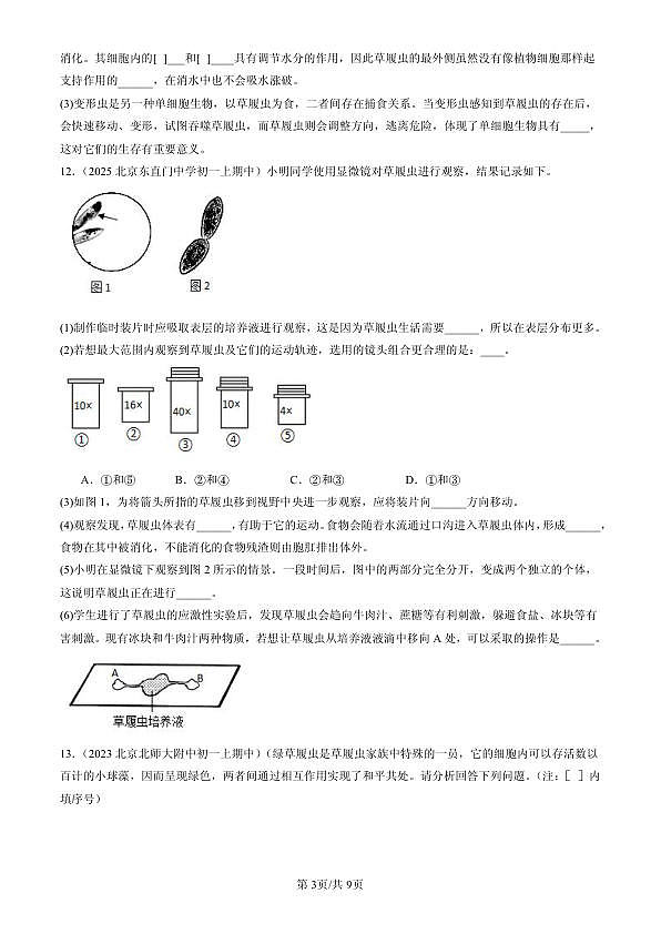 18107126第3页