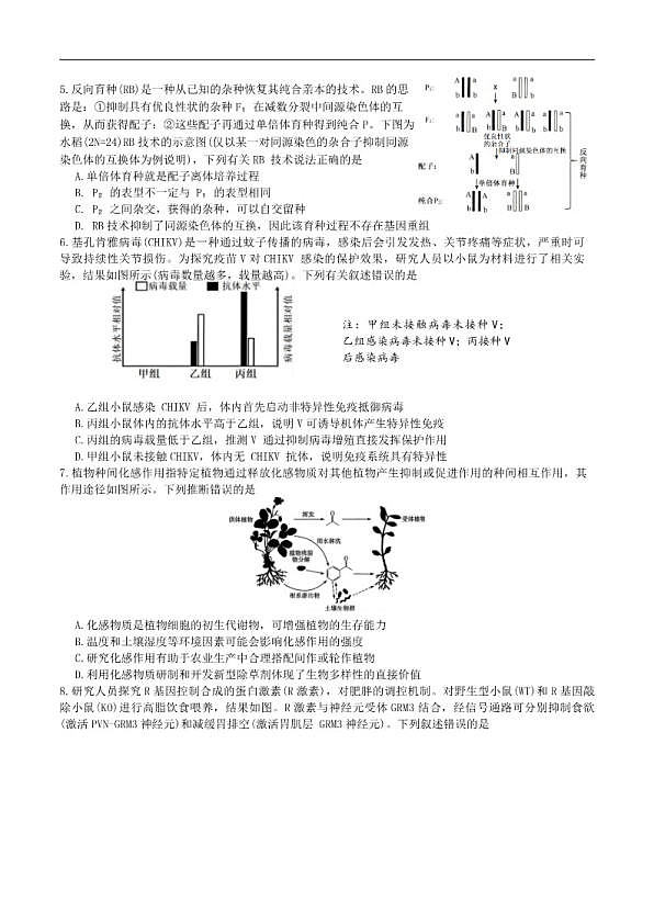 18107257第2页