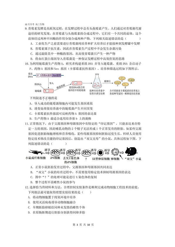 18107392第3页