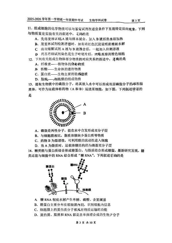 18107470第3页