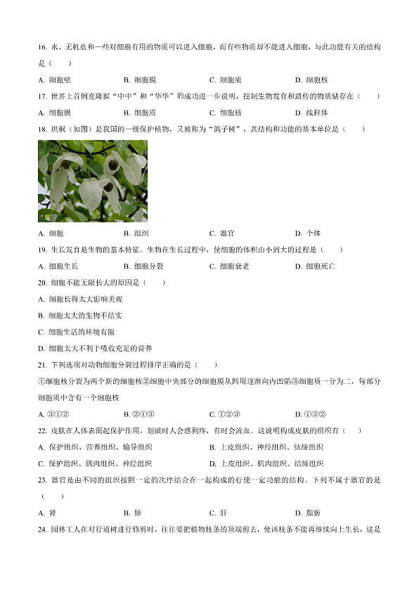 18107478第3页