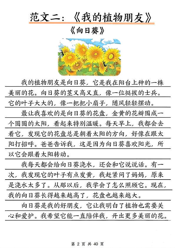 18107679第3页