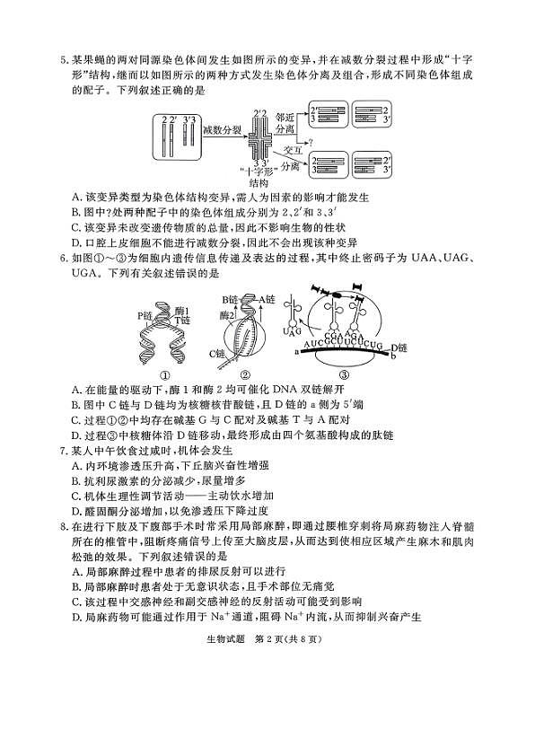 18107828第2页