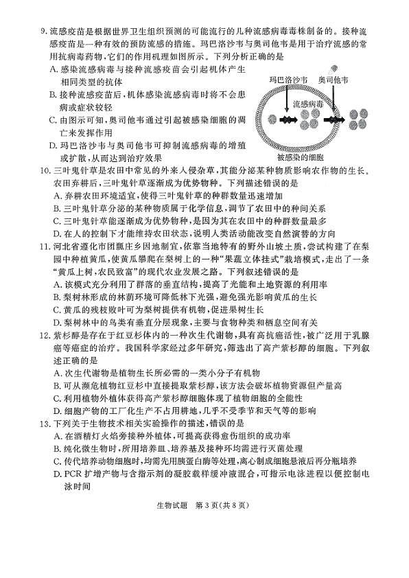 18107828第3页