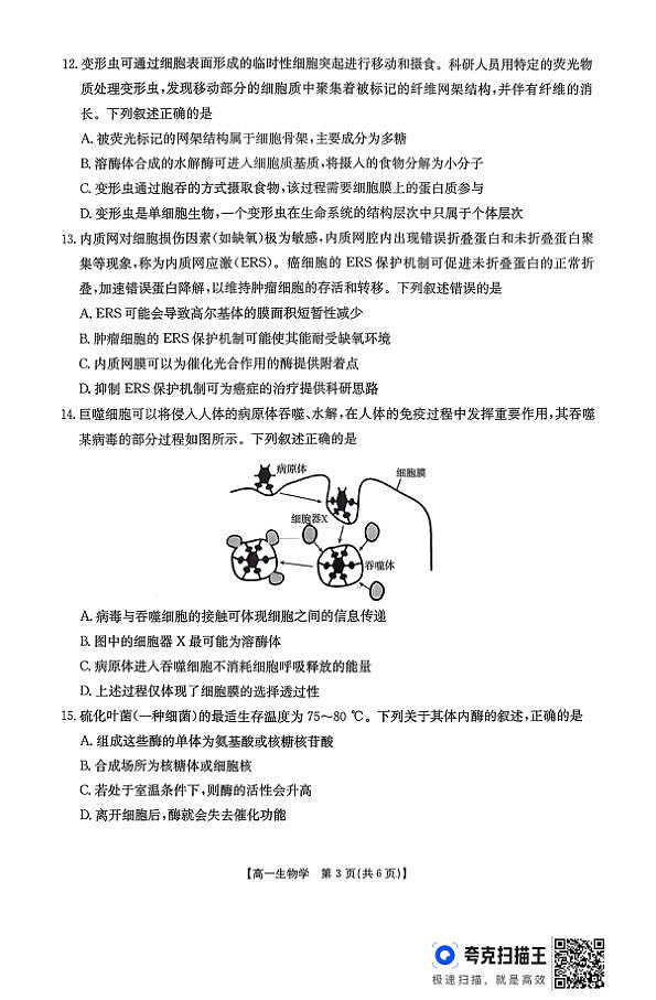 18107887第3页