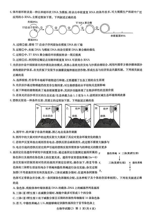 18108162第2页