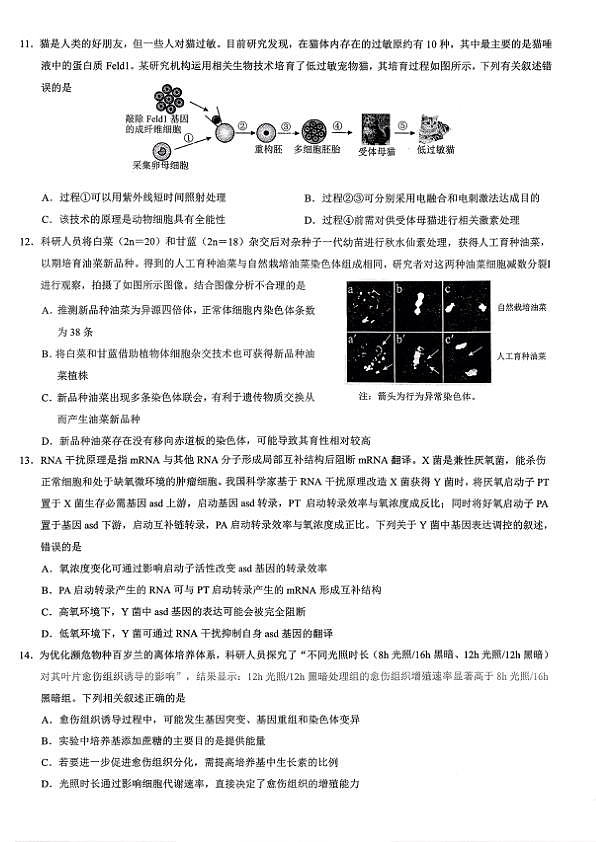 18108218第3页
