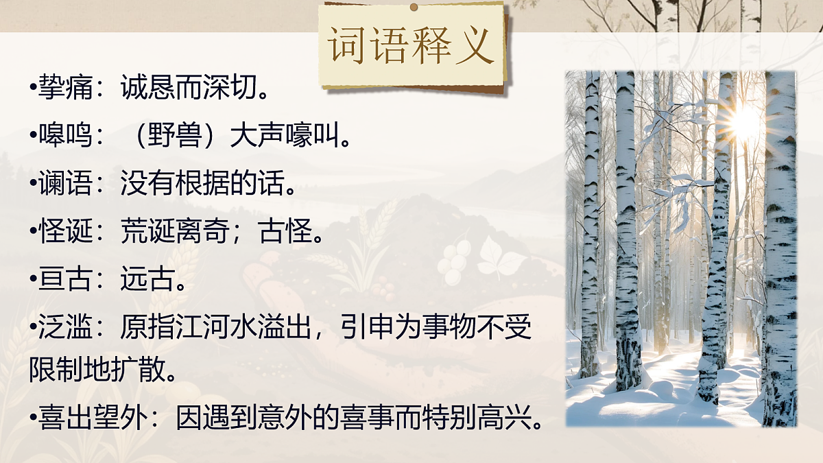 18108504第8页