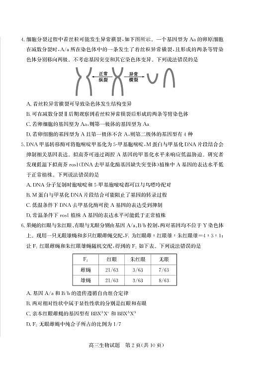 山东省（烟台市、德州市）2025届高三高考适应性测试生物第2页