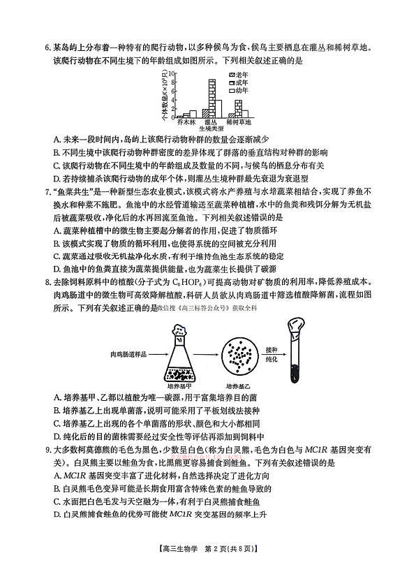 18108908第2页