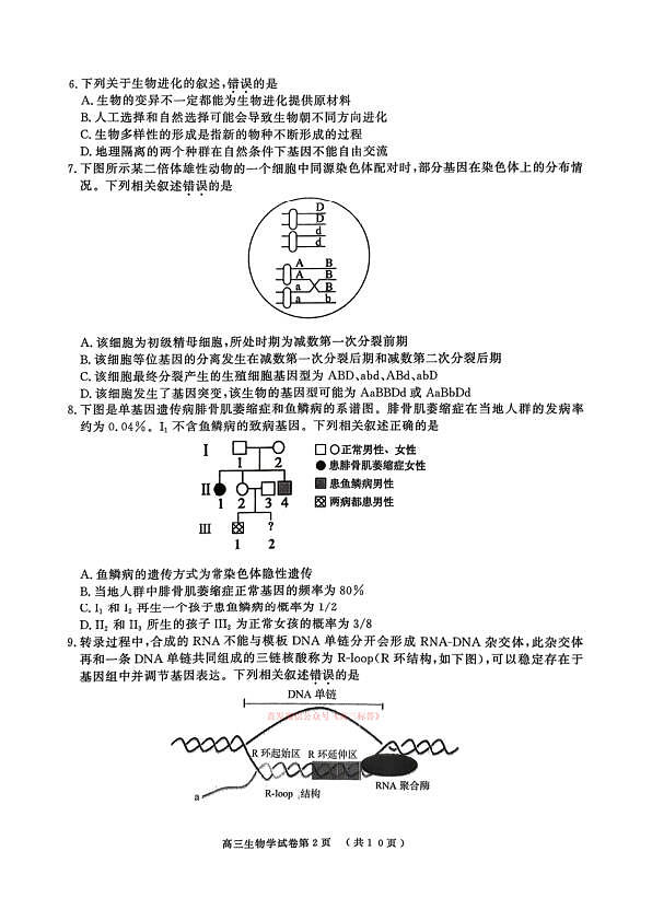 18108912第2页