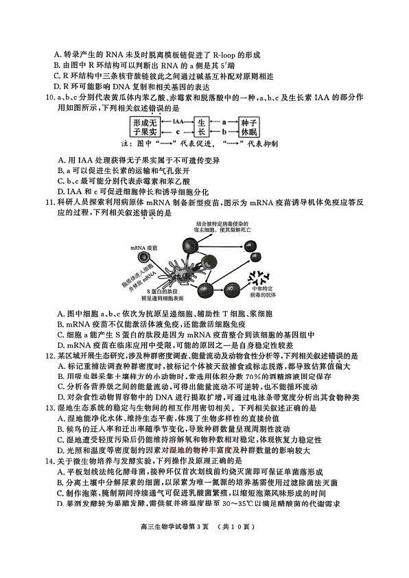 18108912第3页