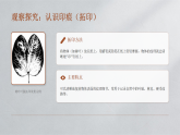 2025-2026学年人教版（新教材）小学美术三年级下册第三单元第二课 《印痕里的时光》教学课件