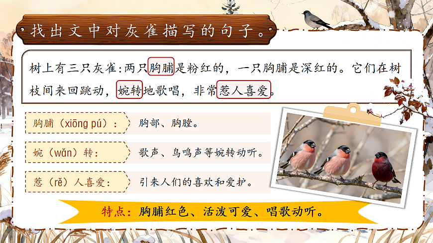 三下第六单元20《灰雀》(第一课时) 教学课件第5页