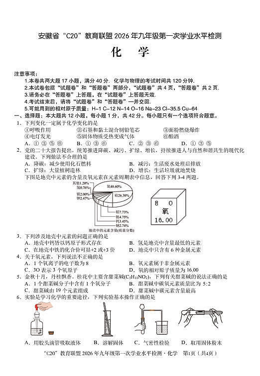 2026年九年级第一次学业水平检测化学试卷第1页
