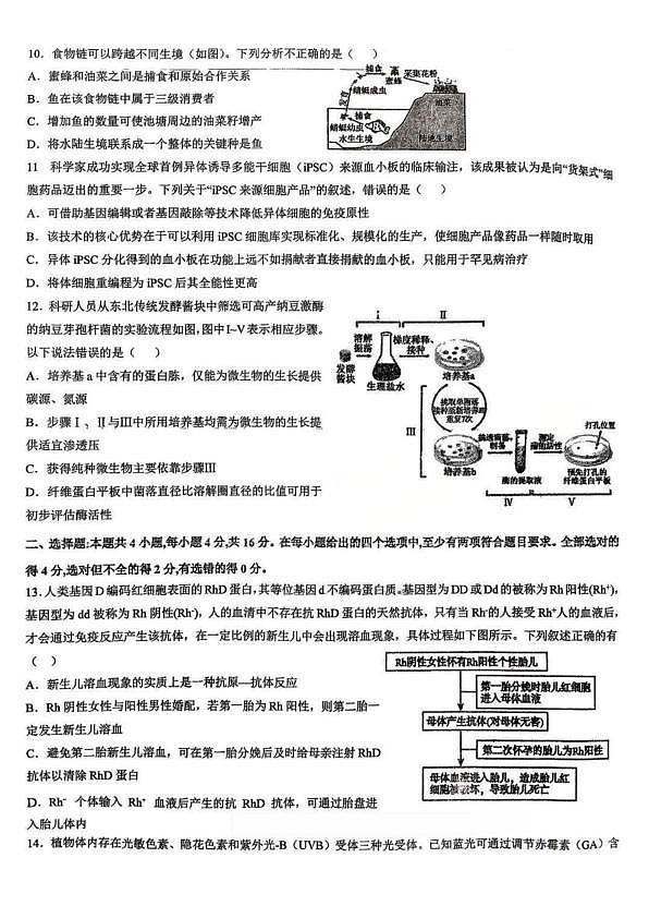 18109185第3页