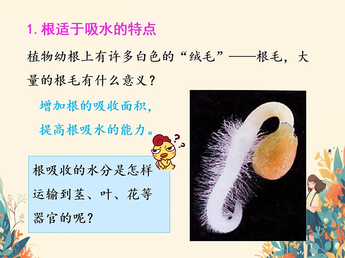 18109408第6页