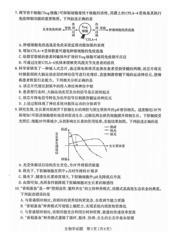18109418第3页