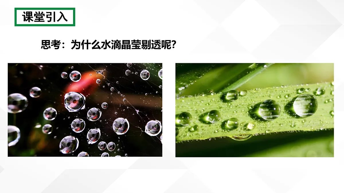 18109761第2页