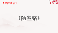 初中语文人教部编版（2024）七年级下册（2024）驿路梨花授课课件ppt