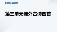 语文七年级下册（2024）青春之光评课ppt课件