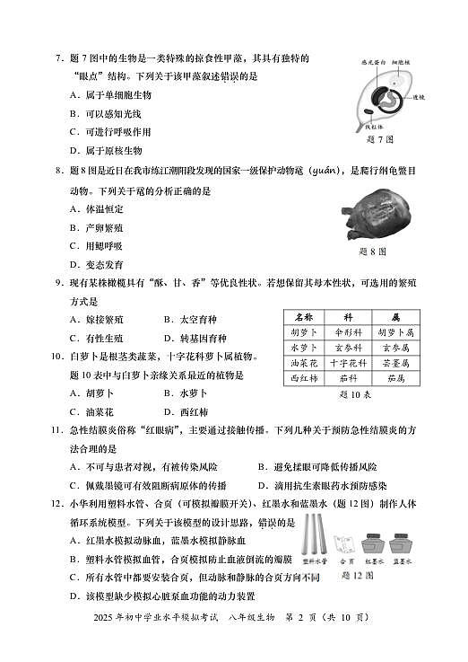 18110366第2页