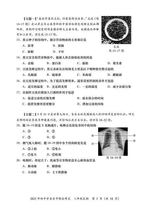 18110366第3页
