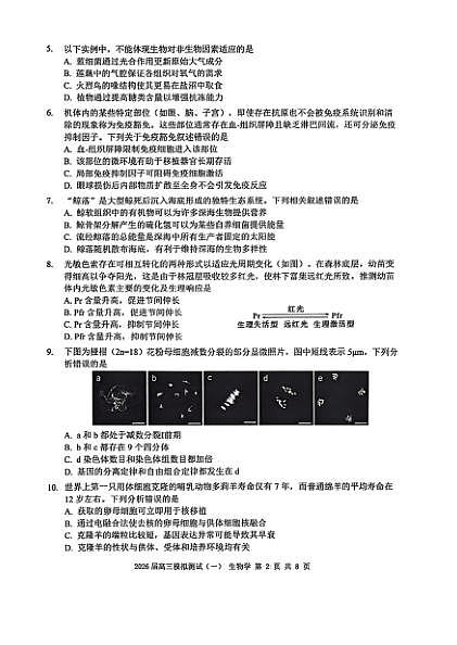18111113第2页