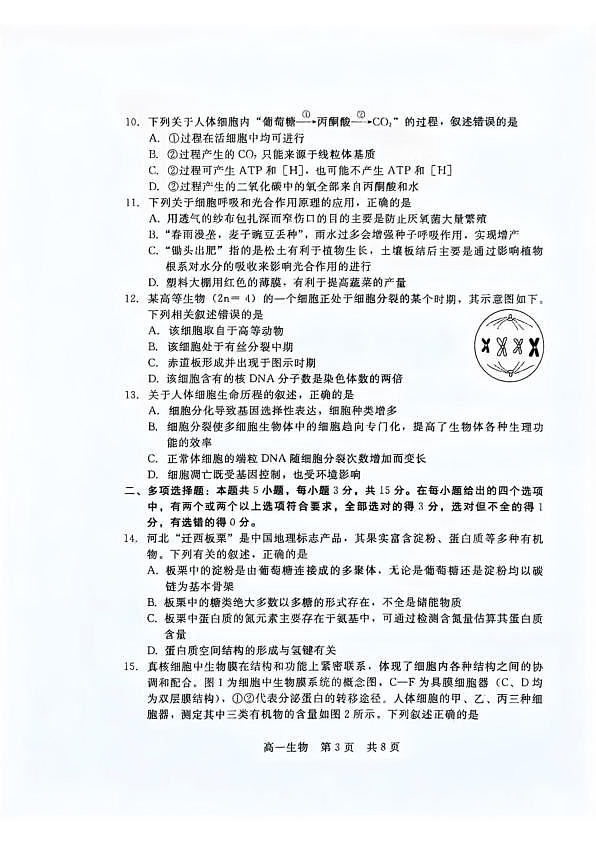 生物第3页