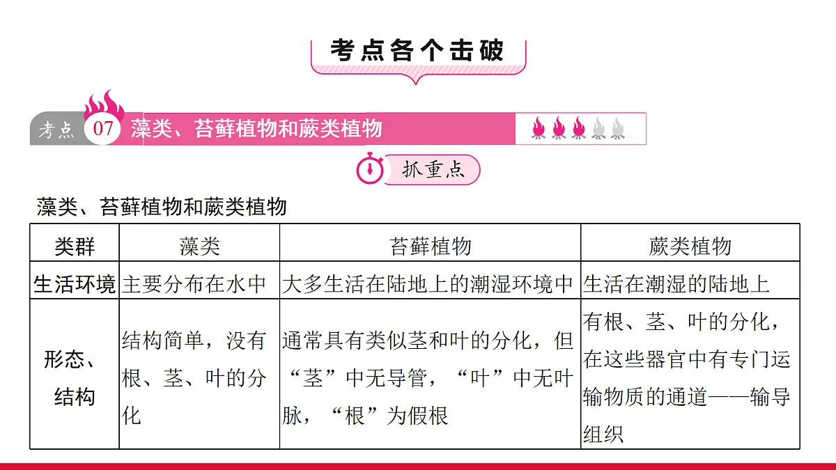 18111893第3页