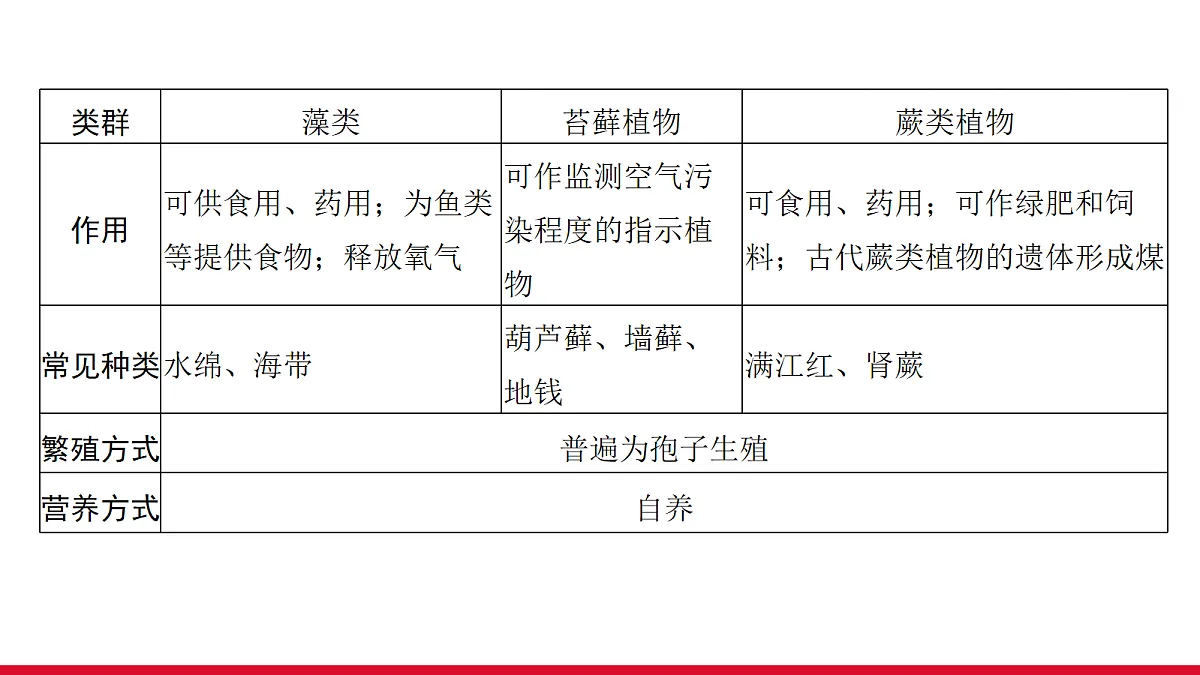 18111893第4页