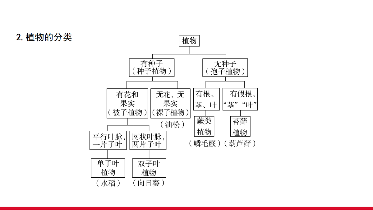 18111896第4页