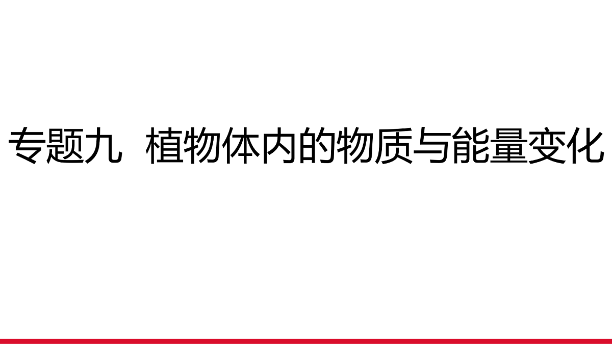 18111898第1页