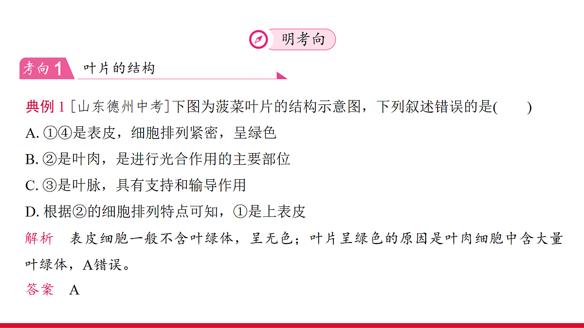 18111898第8页