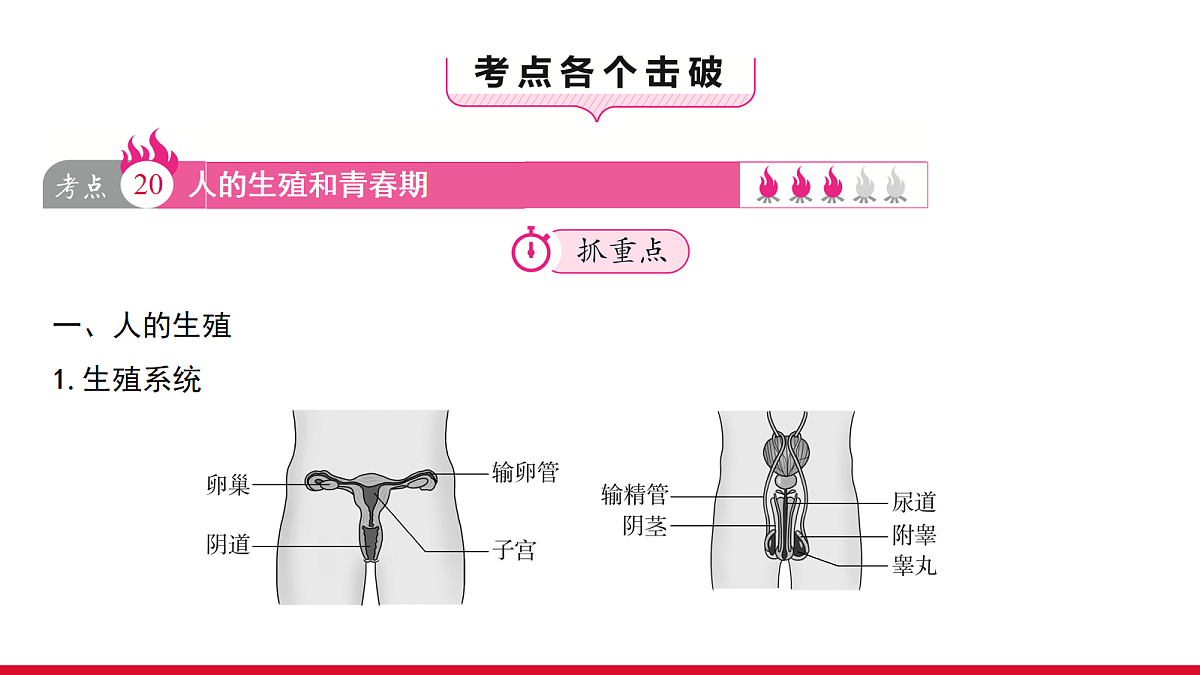18111899第3页