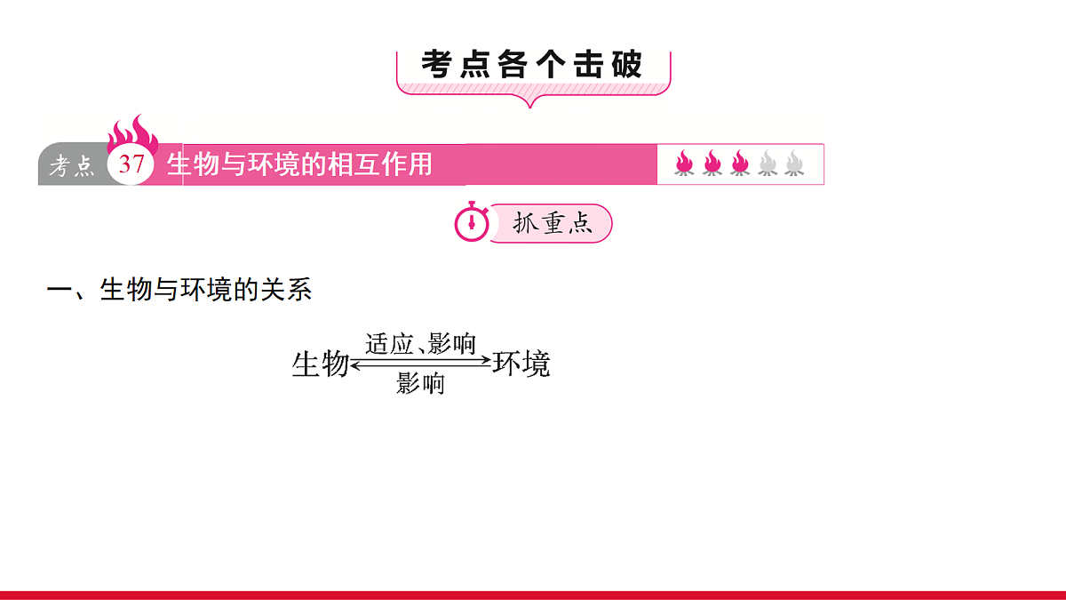 18111905第3页