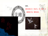 统编版语文八年级下册12《诗经》二首关雎  课件
