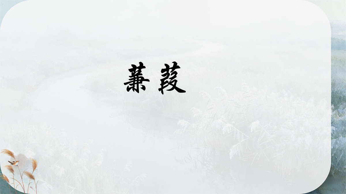 18112305第1页