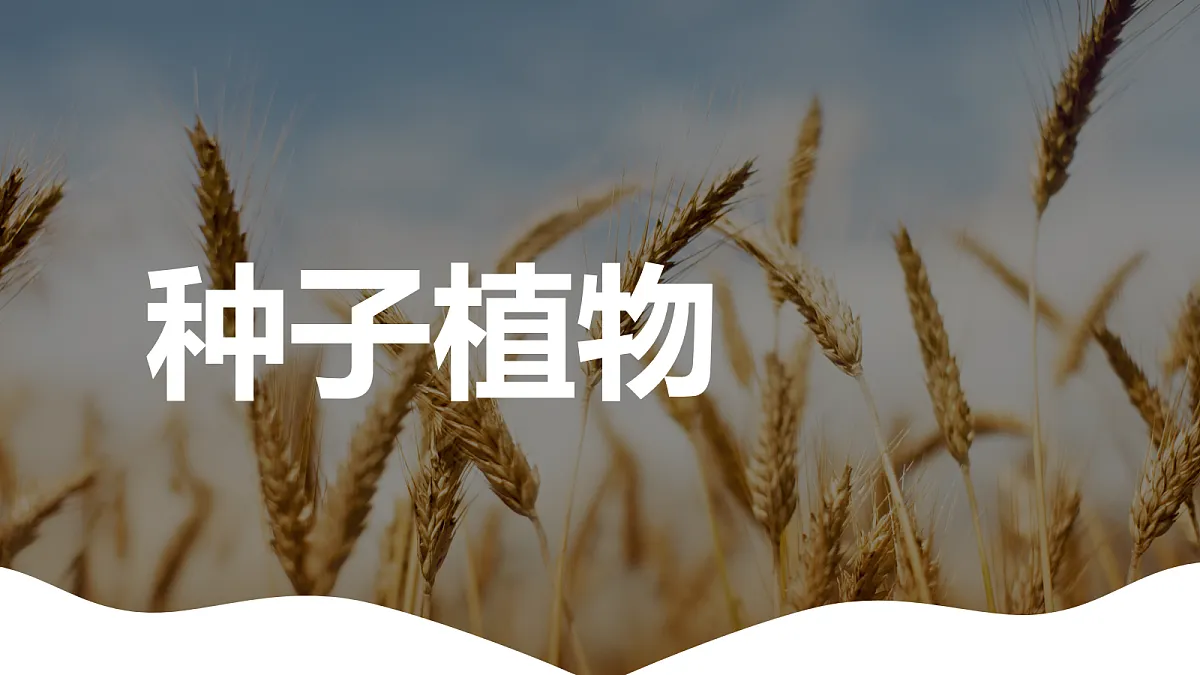 18112374第8页