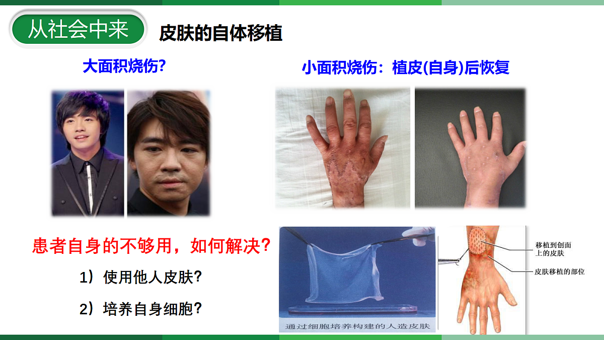 18112380第3页